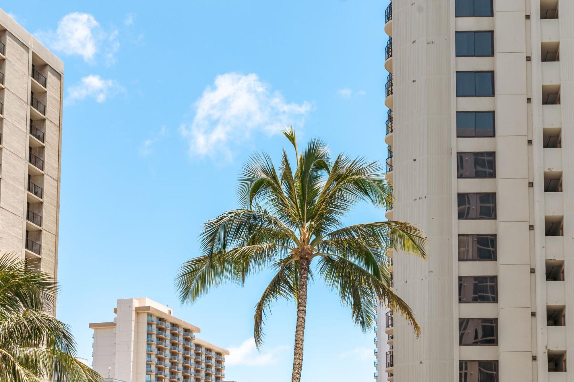 Aloha Vibes With Ocean Views, Near Beach & Parking! Гонолулу Экстерьер фото
